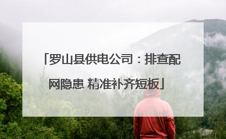 罗山县供电公司：排查配网隐患 精准补齐短板