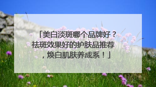 美白淡斑哪个品牌好？祛斑效果好的护肤品推荐，焕白肌肤养成系！