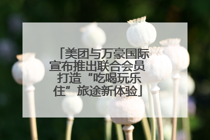 美团与万豪国际宣布推出联合会员 打造“吃喝玩乐住”旅途新体验
