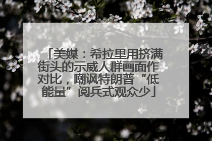 美媒：希拉里用挤满街头的示威人群画面作对比，嘲讽特朗普“低能量”阅兵式观众少