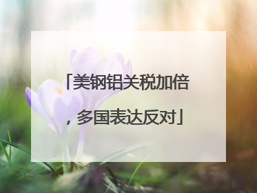 美钢铝关税加倍，多国表达反对
