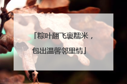 粽叶翻飞裹糯米，包出温馨邻里情