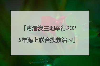粤港澳三地举行2025年海上联合搜救演习