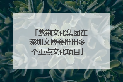紫荆文化集团在深圳文博会推出多个重点文化项目
