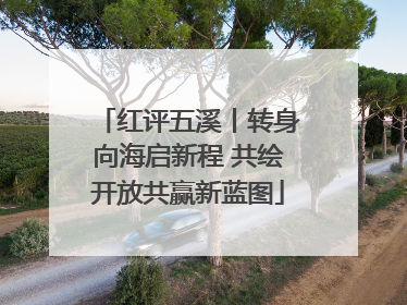 红评五溪丨转身向海启新程 共绘开放共赢新蓝图