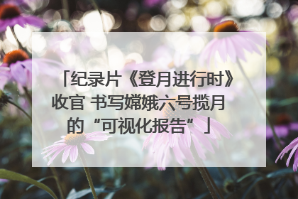 纪录片《登月进行时》收官 书写嫦娥六号揽月的“可视化报告”