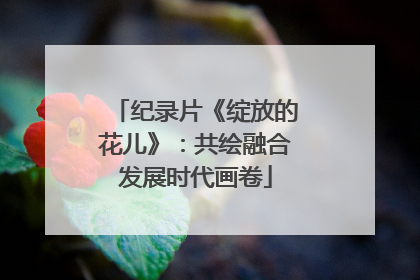 纪录片《绽放的花儿》：共绘融合发展时代画卷