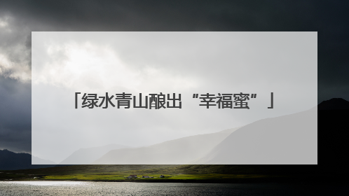 绿水青山酿出“幸福蜜”