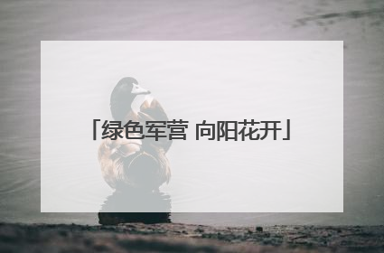 绿色军营 向阳花开
