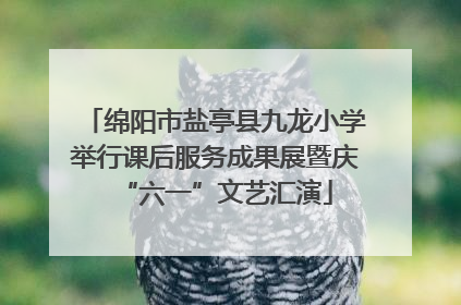 绵阳市盐亭县九龙小学举行课后服务成果展暨庆“六一”文艺汇演