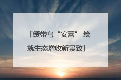 绶带鸟“安营” 绘就生态增收新景致