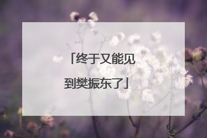 终于又能见到樊振东了