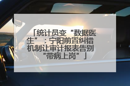 统计员变“数据医生”：宁阳前置纠错机制让审计报表告别“带病上岗”