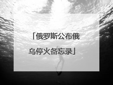 俄罗斯公布俄乌停火备忘录