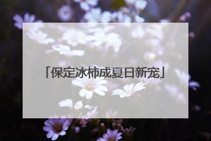 保定冰柿成夏日新宠