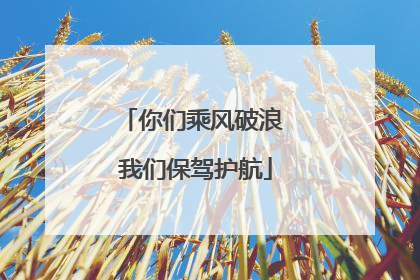 你们乘风破浪 我们保驾护航