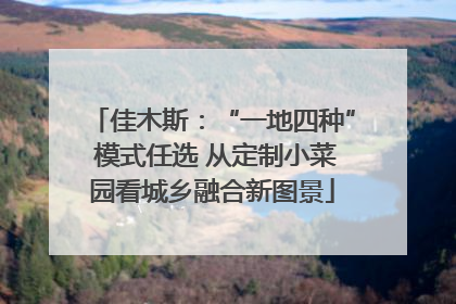 佳木斯：“一地四种” 模式任选 从定制小菜园看城乡融合新图景