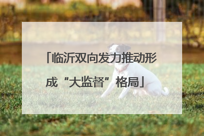 临沂双向发力推动形成“大监督”格局