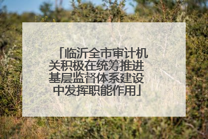临沂全市审计机关积极在统筹推进基层监督体系建设中发挥职能作用