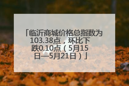 临沂商城价格总指数为103.38点，环比下跌0.10点（5月15日—5月21日）