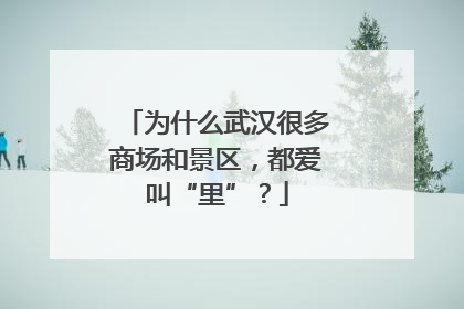 为什么武汉很多商场和景区，都爱叫“里”？