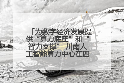 为数字经济发展提供“算力底座”和“智力支撑” 川南人工智能算力中心在四川泸州启动