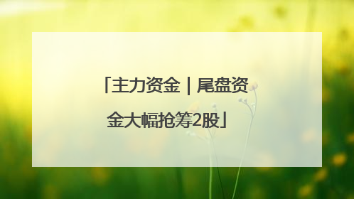 主力资金｜尾盘资金大幅抢筹2股