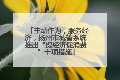 主动作为，服务经济，扬州市城管系统推出“提经济促消费”十项措施