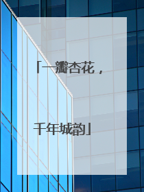 一瓣杏花，千年城韵