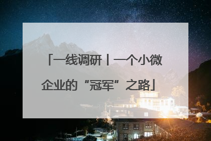 一线调研丨一个小微企业的“冠军”之路