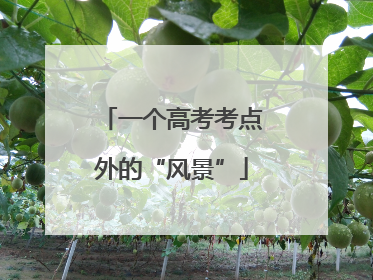 一个高考考点外的“风景”