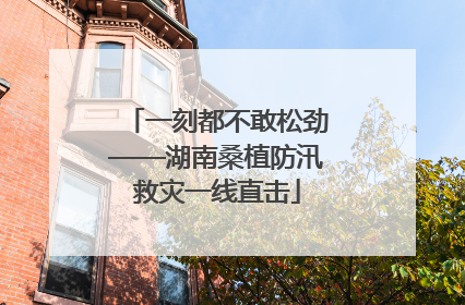 一刻都不敢松劲——湖南桑植防汛救灾一线直击