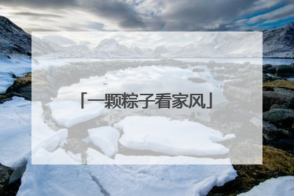 一颗粽子看家风