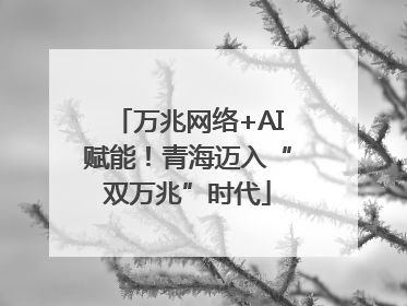 万兆网络+AI赋能！青海迈入“双万兆”时代