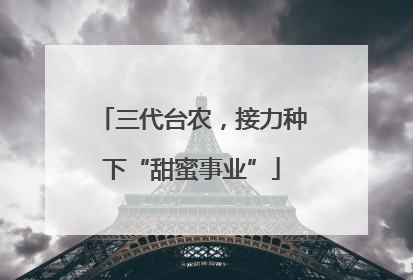 三代台农，接力种下“甜蜜事业”