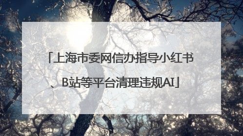 上海市委网信办指导小红书、B站等平台清理违规AI