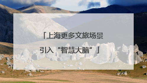 上海更多文旅场景引入“智慧大脑”