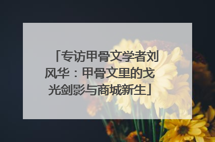 专访甲骨文学者刘风华：甲骨文里的戈光剑影与商城新生