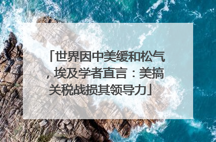 世界因中美缓和松气，埃及学者直言：美搞关税战损其领导力