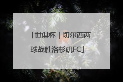 世俱杯｜切尔西两球战胜洛杉矶FC