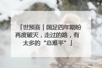 世预赛｜国足四年期盼再度破灭，走过的路，有太多的“意难平”