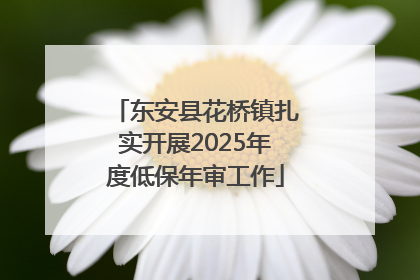 东安县花桥镇扎实开展2025年度低保年审工作