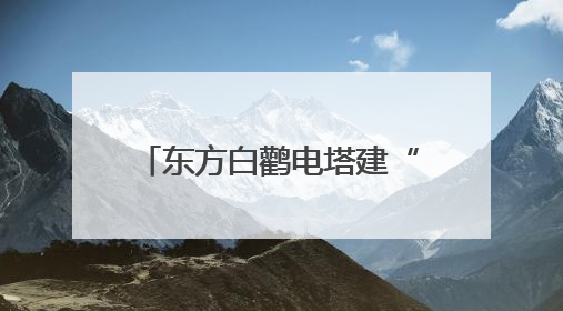 东方白鹳电塔建“产房” “陕电入皖”架线延工期