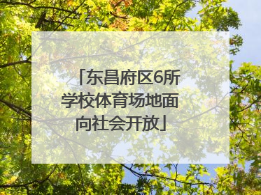 东昌府区6所学校体育场地面向社会开放