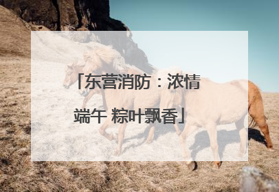 东营消防：浓情端午 粽叶飘香