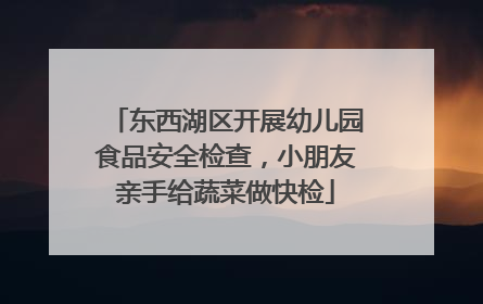 东西湖区开展幼儿园食品安全检查，小朋友亲手给蔬菜做快检