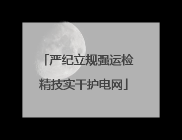 严纪立规强运检 精技实干护电网
