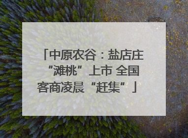 中原农谷：盐店庄“滩桃”上市 全国客商凌晨“赶集”