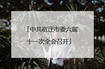 中共宿迁市委六届十一次全会召开