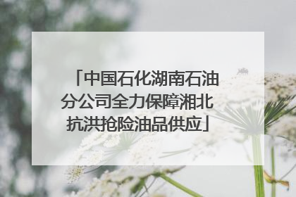 中国石化湖南石油分公司全力保障湘北抗洪抢险油品供应